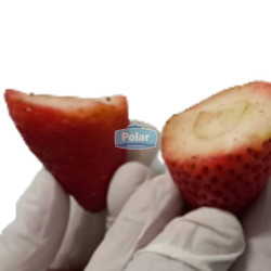 Frutilla caja granel grado B x 13,6 kg