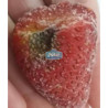 Frutilla caja granel Industria x 13,6 kg
